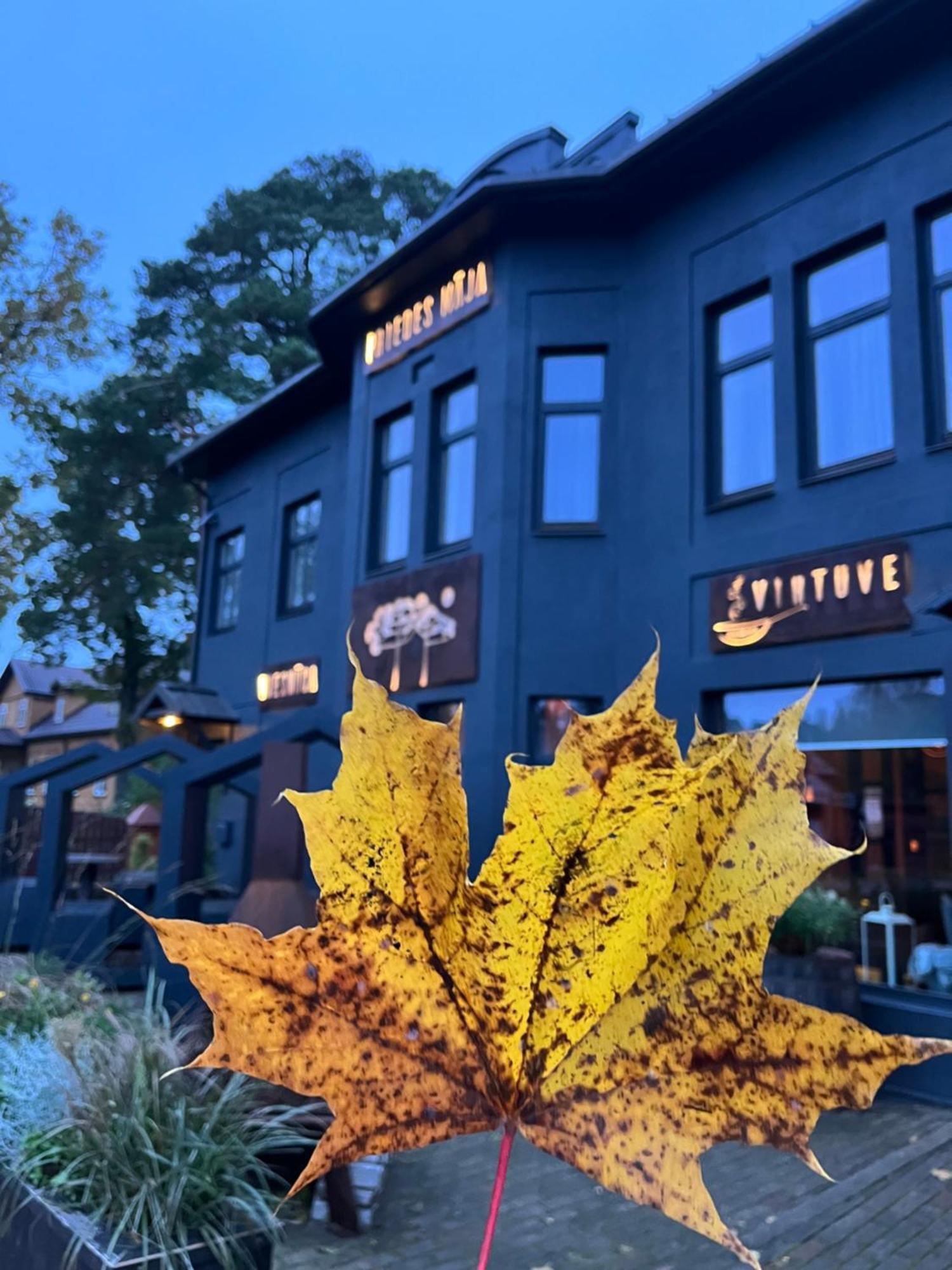Priedes Maja Hotel Ainazi Luaran gambar